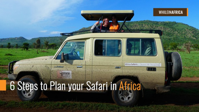 How to plan your safari in africa
