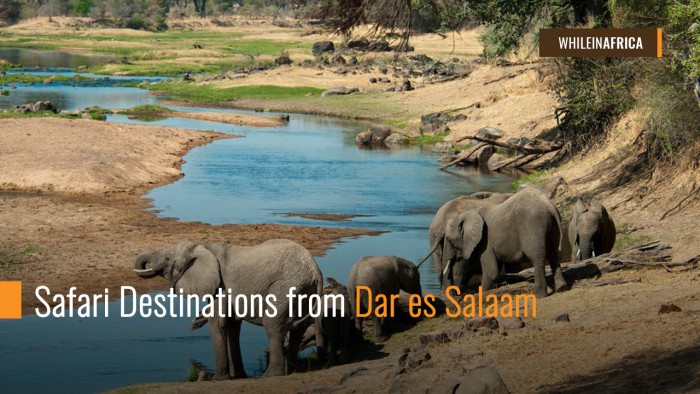Safari Destinations from Dar es Salaam