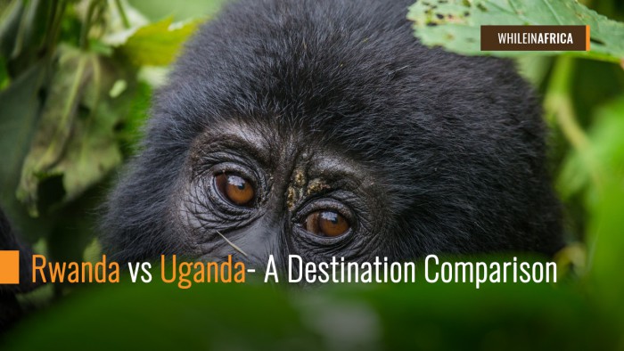 Rwanda vs Uganda- A Destination Comparison
