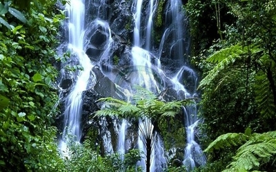 Waterfall in Nyungwe Forest