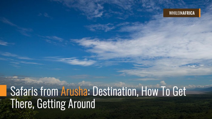 Safaris from Arusha: Destination, How To Get There, Getting Around