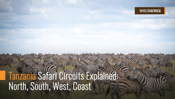 Tanzania Safari Circuits Explained | While in Africa