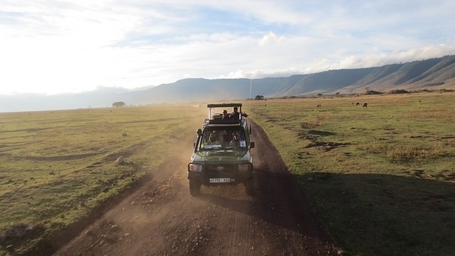 game drive at ngorongoro crater