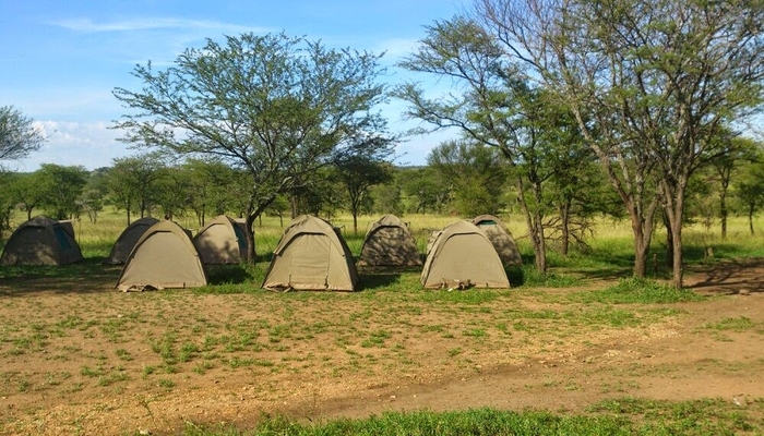 budget camp in serengeti