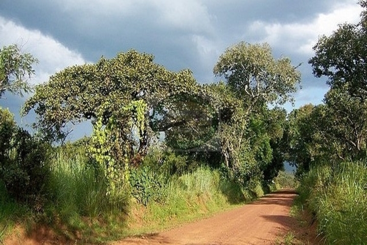 ruvubu national park
