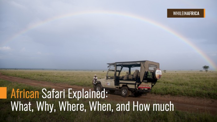 African Safari Explained What, Why, Where, When, and How much