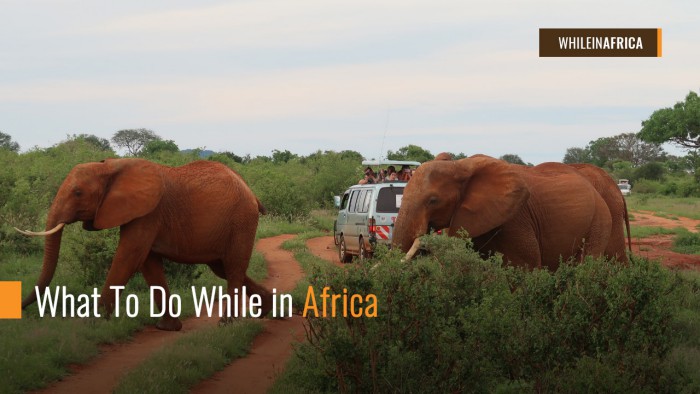 What To Do While in Africa