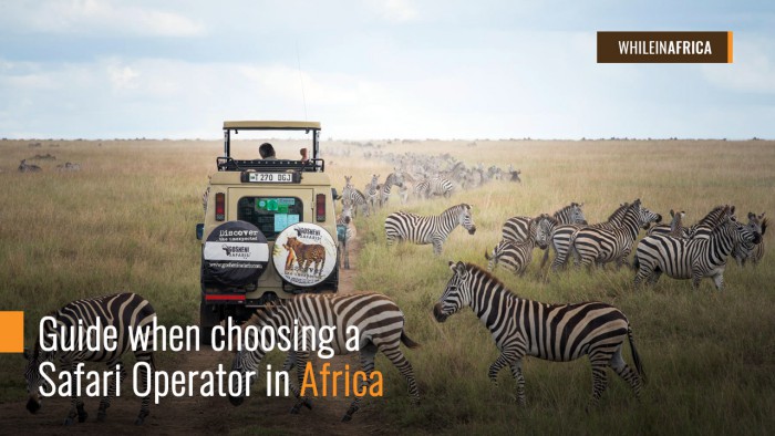 Guide When Choosing a Safari Operator in Africa