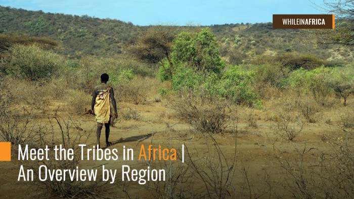 Meet the Tribes in Africa | An Overview by Region | While in Africa