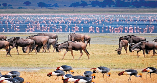 lake-manyara national park