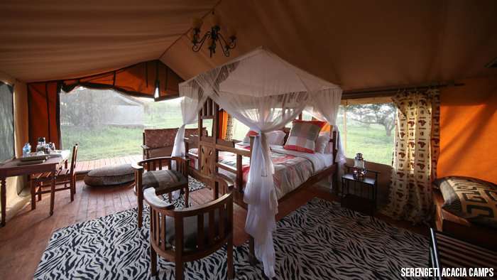 10. Safari Camps