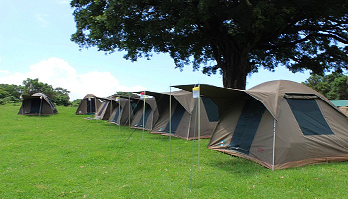 CampingTenting on Safari.whileinafrica