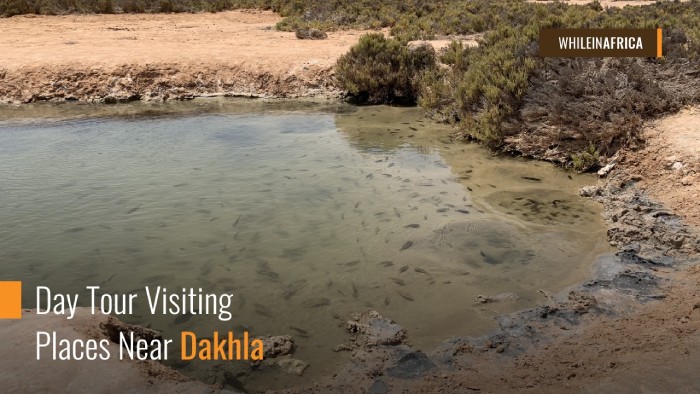 Day Tour Visiting Places Near Dakhla