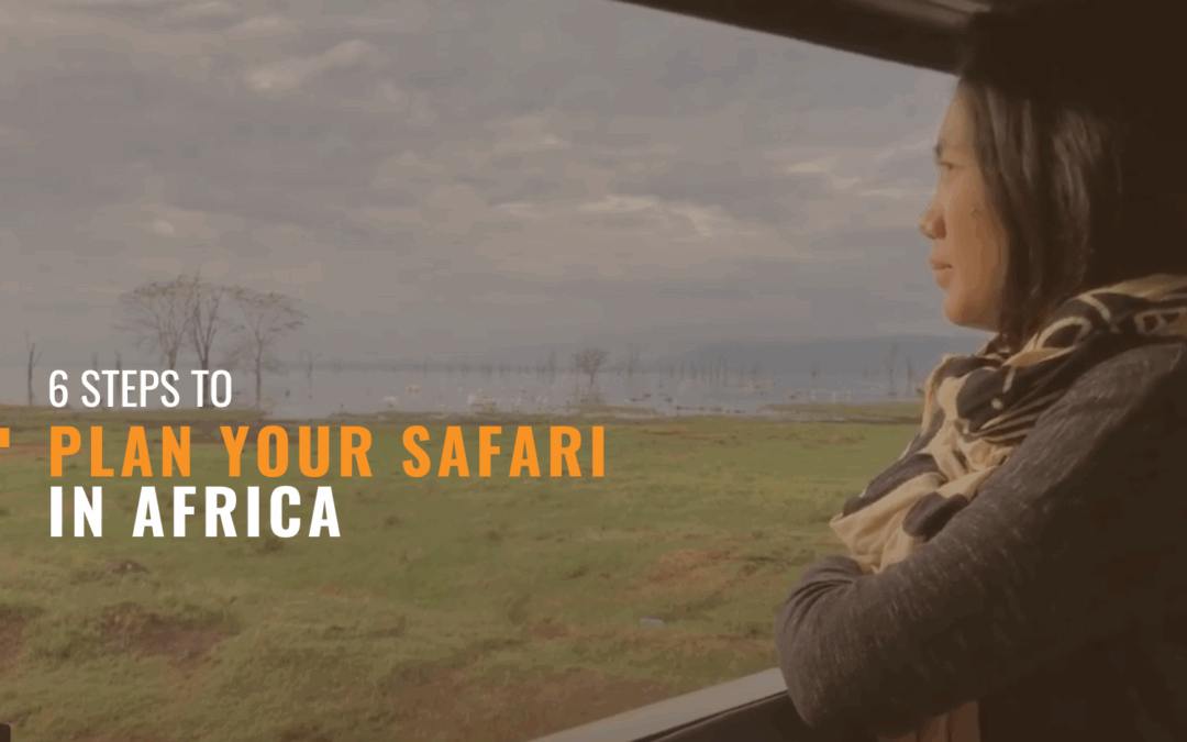 6 Steps to Plan your Safari in Africa