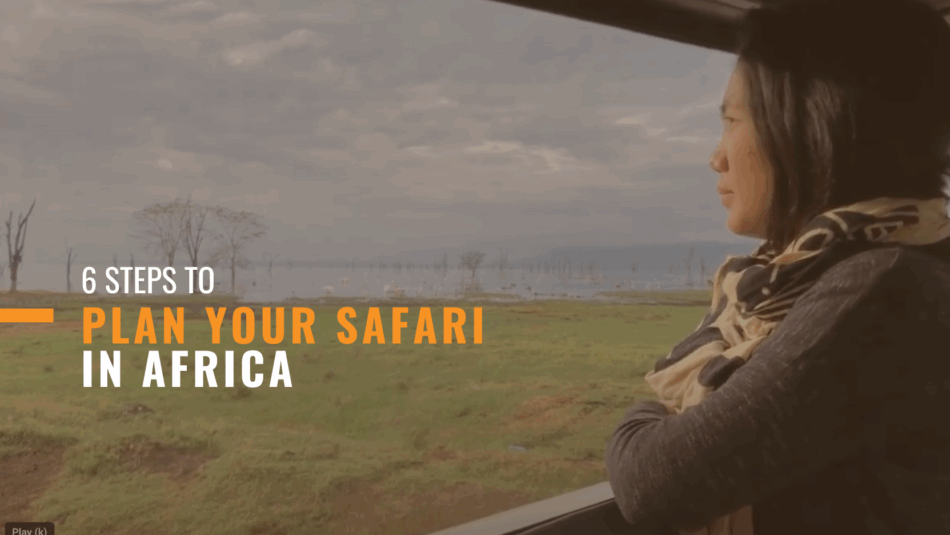 6 Steps to Plan Your Safari in Africa